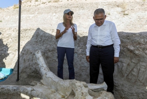 Zamann Afrikas Kayseri'deki fosiller Anadolu tarihine k tutuyor