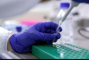  Kapkule'de PCR testi fiyat drld, 5 milyon turist bekleniyor 