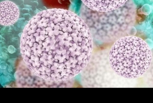 100 kadından 98i HPV virüsü ile karşı karşıya