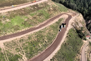 Körfez'e 3 bin 300 Toros sediri dikilecek