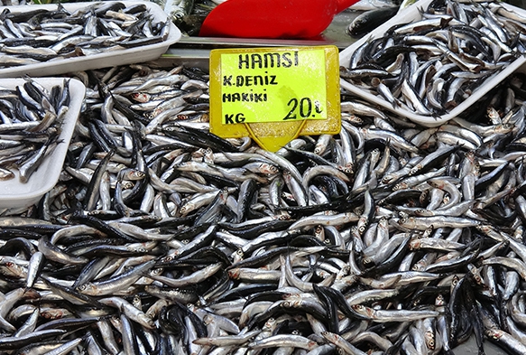 Karadeniz hamsisinin kilogram fiyatnda d sryor