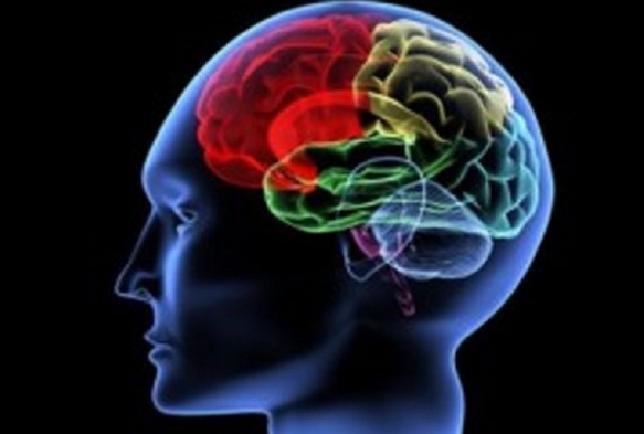 'Covid-19 geirenlerin beyninde klme tespit edildi'