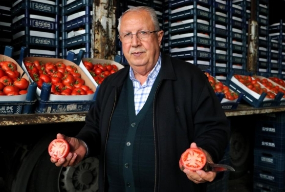 Rusya-Ukrayna sava domatesi vurdu