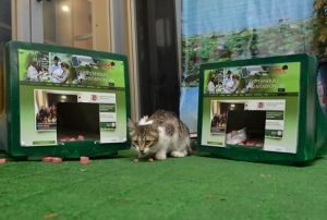 Eski monitrler kedi evi oldu