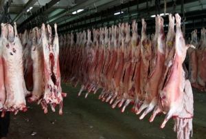Avrupa Birlii'ne 19 bin ton et iin bavurduk