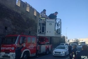 Altnlarn kaptrnca surlara kp intihara giriti!