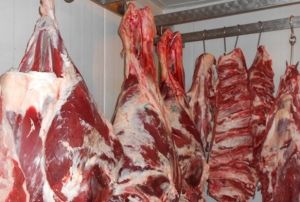 Kayseri'de 2 ton kaak et ele geirildi!