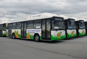 Kayseri'de toplu tamaya rekor zam!