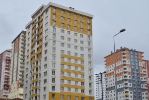 Ev sahipleri dikkat! Haftaya balyor