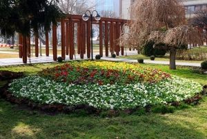 Kayseri iek bahesine dnecek