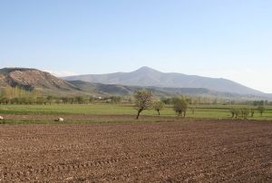 Tarlas olanlar dikkat, son 3 aynz kald!