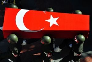 Karakola kalle saldr! 3 ehit