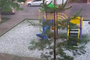 Dolu ya Kayseri'yi beyaza brd