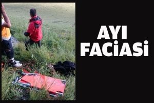 Ay facias! ller ve yarallar var...