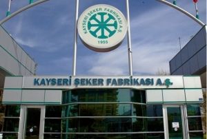 Kayseri ekerde 9 kii grevden alnd