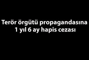 Terr rgt propagandasna 1 yl 6 ay hapis cezas