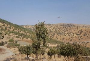 emdinlide atma: ehit ve yarallar var