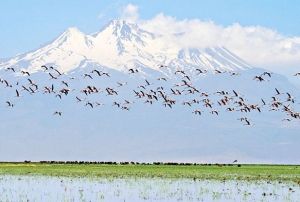  Sultansazl cazibe merkezi olmaya devam ediyor