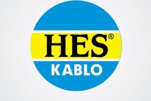 HES Kablo, TMSF'ye devredildi