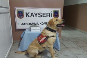 Jandarma'dan uyuturucu operasyonu