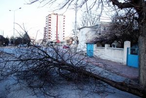 Kayseri'de iddetli rzgar etkili oldu