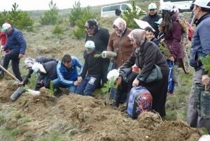 Otizm Farkndalk Orman'na 1000 adet fidan dikildi