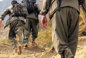 ukurca'da 3 PKK'l ldrld