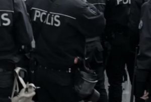 Yurt genelinde dev operasyon