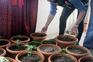 2017'nin lk 7 aynda 977 kiiye uyuturucudan ilem yapld