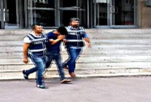  yerlerine srnerek giren hrszlar kameraya yakaland