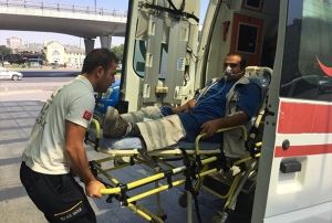 Arazide alan iiyi ylan soktu