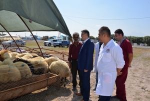 Tarm l Mdrl'nden Kurban Alacak Olanlara Byk Hizmet