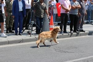  Zafer Bayram'nda arama kpei sesten rahatsz olup kat
