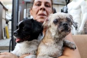 Kedi, kpek ve papaanlar yanmaktan son anda kurtarld