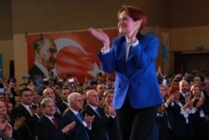 te Meral Akener'in partisinin ad ve amblemi
