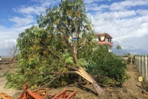Hortum 80 saniyede mahalleyi sava alanna evirdi