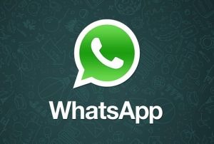 Yargda Whatsapp hz