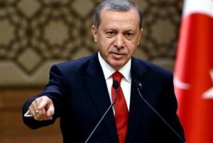 Cumhurbakan Erdoandan yabanc says aklamas