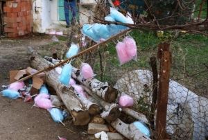 ekercilerin kavgas dn kana bulad: 2 l, 2 yaral