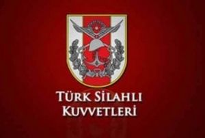 TSK: 
