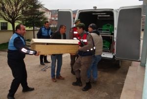 Bo arazide cesedi bulunan ahsn kimlii belli oldu