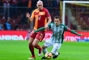 Aslan, timsaha geit vermedi!