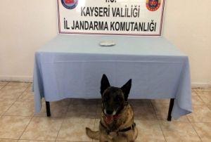 Jandarma uyuturucu tacirlerine gz atrmyor
