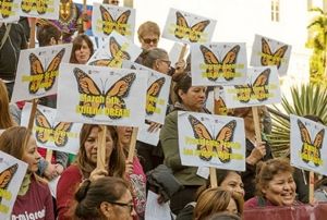 ABD'deki gmenlerden Trump'a protesto