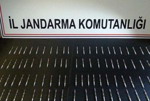 93 adet tp ierisinde kobra ylan zehri ele geirildi