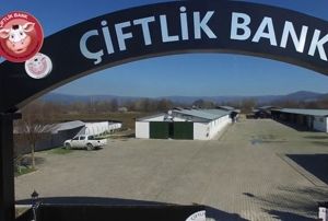 Bakanlk'tan iftlik Bank hamlesi!