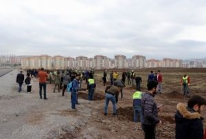 renciler Afrin ve El Bab ehitleri iin aa dikti