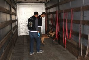 Bo trdan servet deerinde 'zehir' kt
