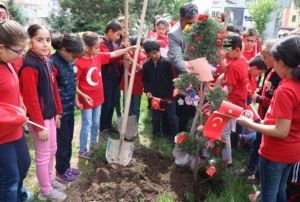  lkokul rencileri ehitlie fidan dikti 