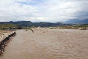 Taan derede sele kaplan 2 ocuk hayatn kaybetti